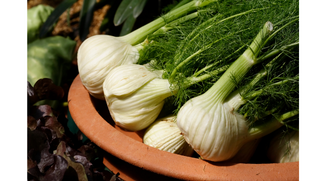 fennel